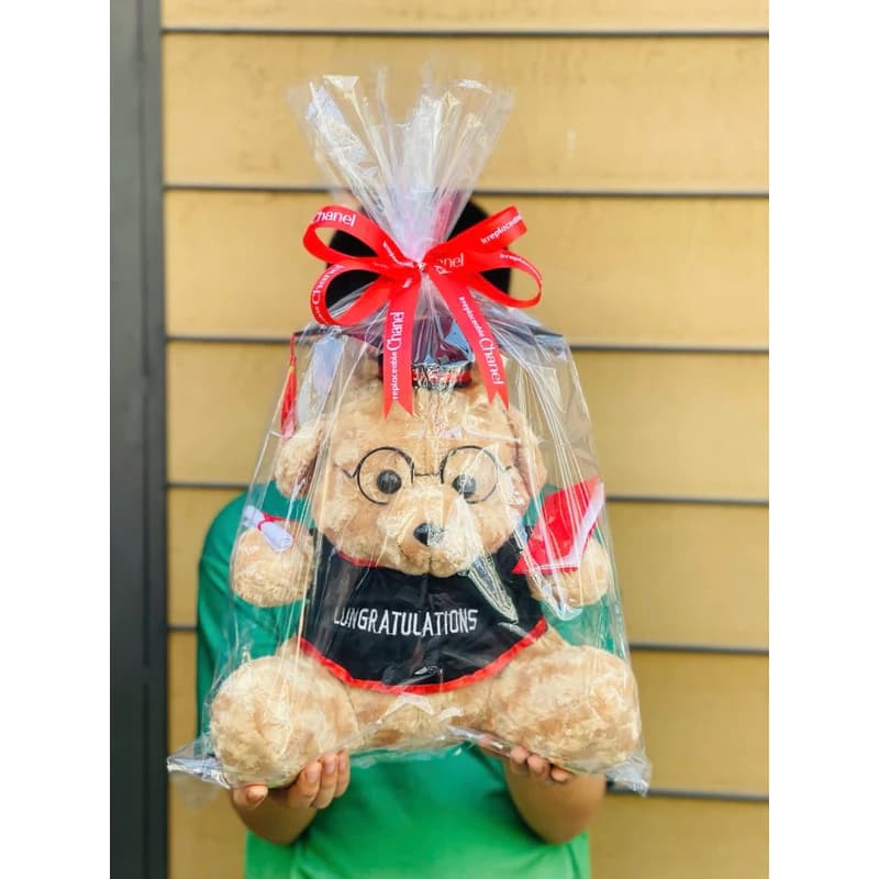 Gấu Bông Tốt Nghiệp Lông Mịn size 40cm