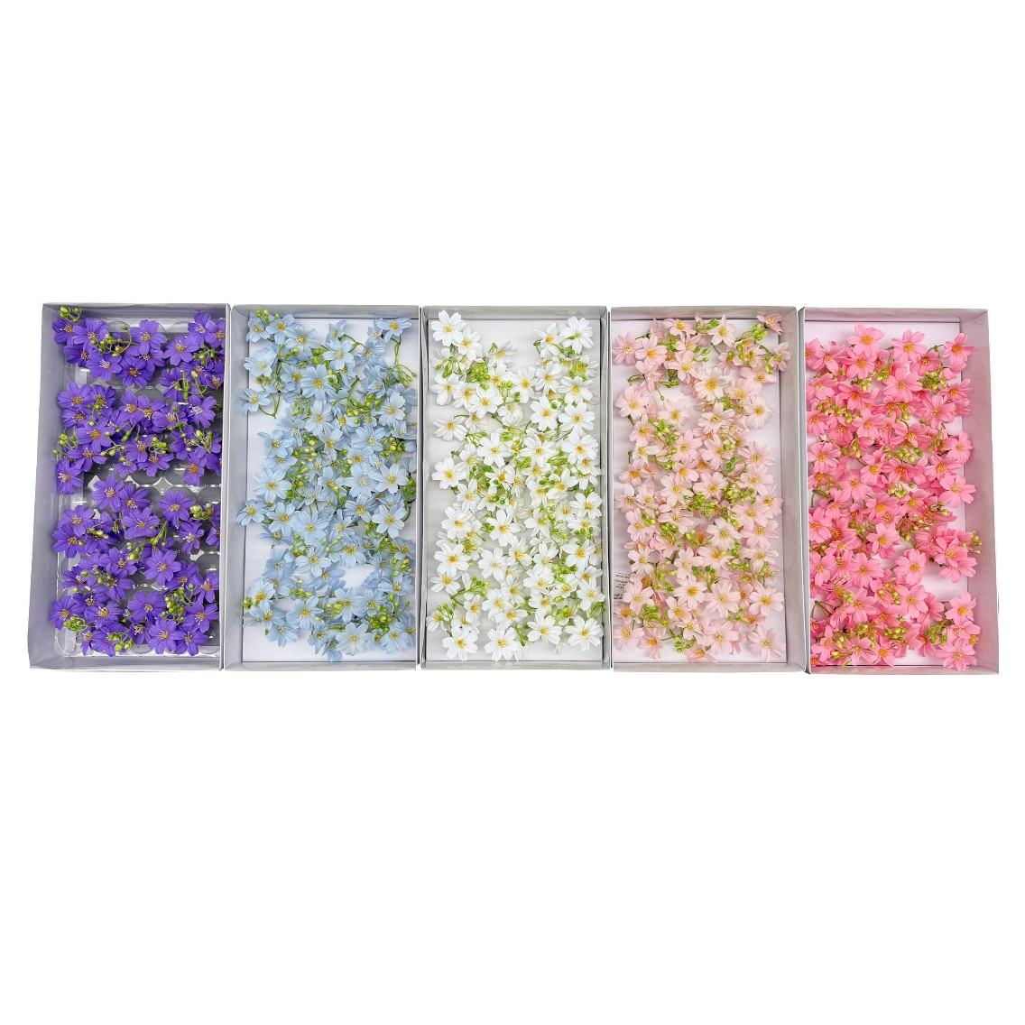 Hoa sáp cúc cánh tim cụm