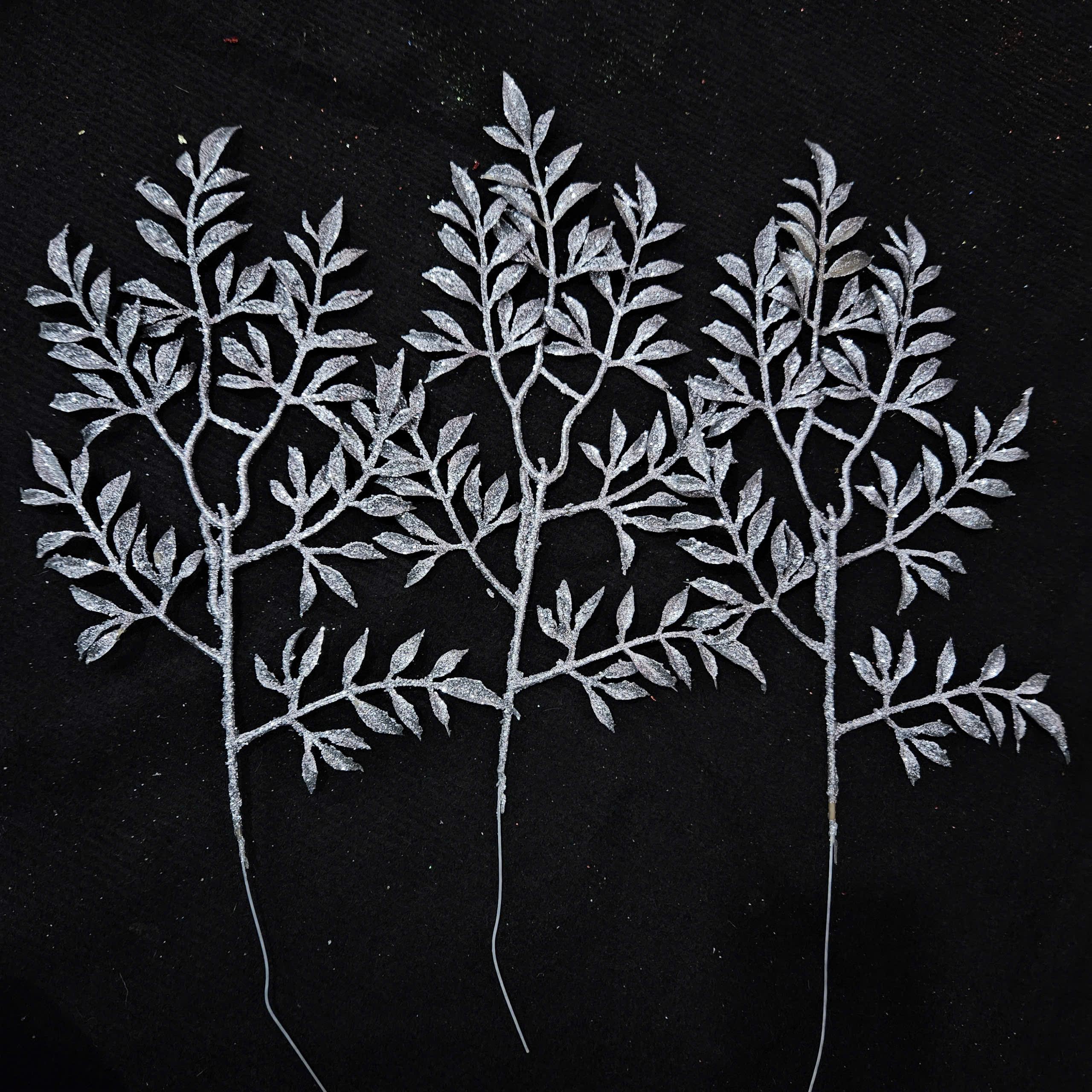 Cành Đinh Lăng (Set 10 cành)