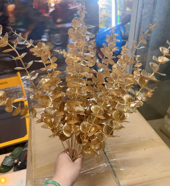 Nhánh Táo Đồng Rời (Bịch 50 cành)