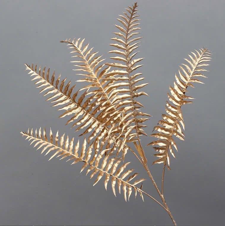 Cành Dương Sỉ Nhũ Đồng